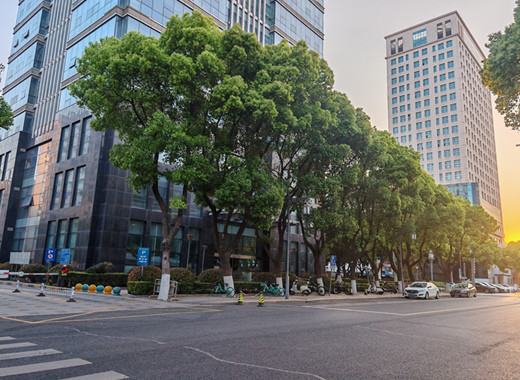 Wuxi ADBLUEPARTS Auto Parts Co., LTD